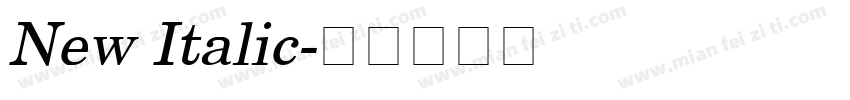 New Italic字体转换